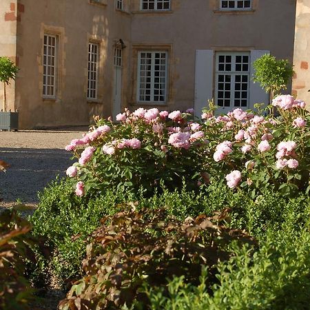 مبيت وإفطار Villeneuve-sur-Allier Chateau Du Riau المظهر الخارجي الصورة