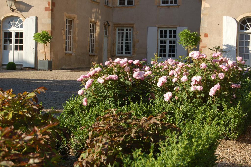 مبيت وإفطار Villeneuve-sur-Allier Chateau Du Riau المظهر الخارجي الصورة