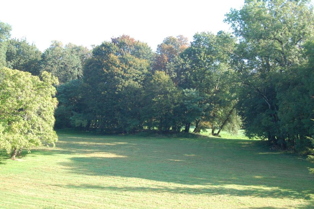 مبيت وإفطار Villeneuve-sur-Allier Chateau Du Riau المظهر الخارجي الصورة