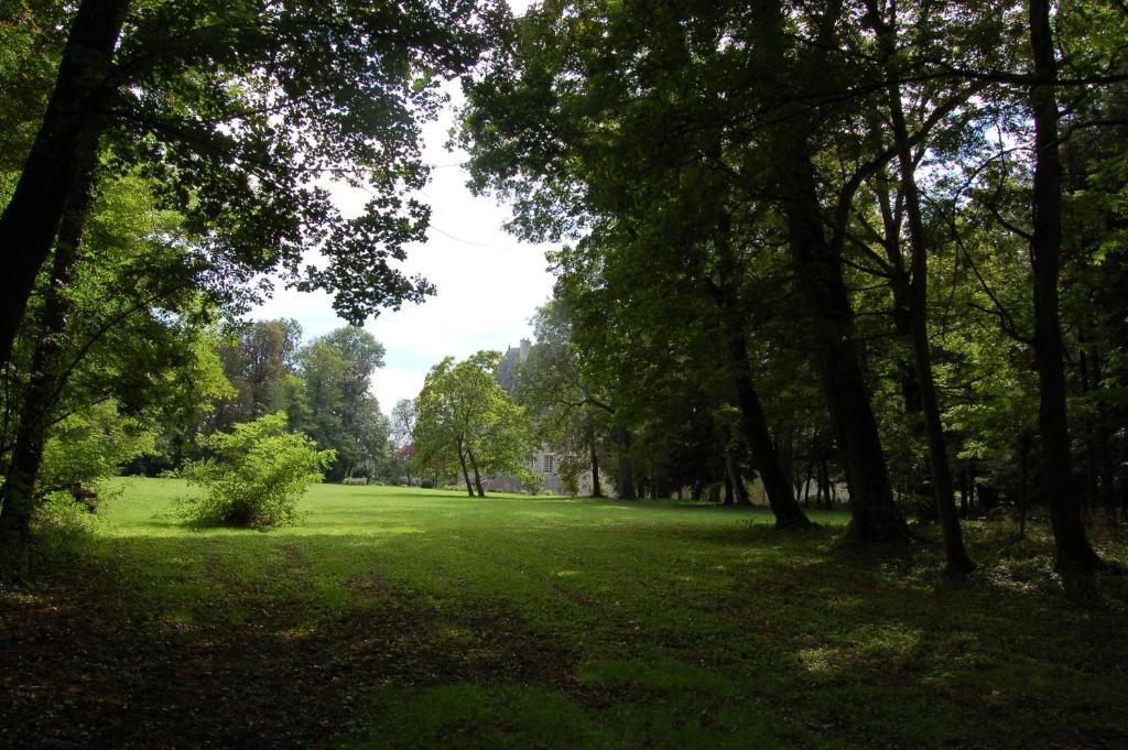 مبيت وإفطار Villeneuve-sur-Allier Chateau Du Riau المظهر الخارجي الصورة