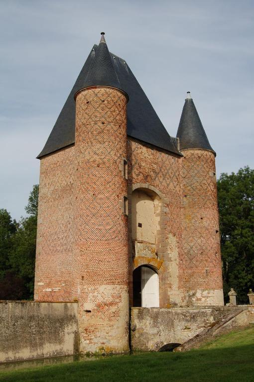 مبيت وإفطار Villeneuve-sur-Allier Chateau Du Riau المظهر الخارجي الصورة
